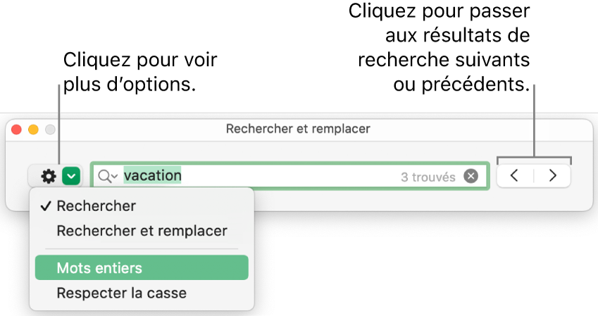 La fenêtre Rechercher et remplacer avec le menu contextuel qui affiche les options Rechercher, Rechercher et remplacer, Mots entiers et Respecter la casse. Les flèches situées à droite vous permettent d’accéder directement aux résultats de recherche précédents ou suivants.