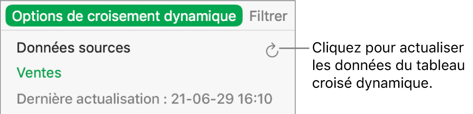 Onglet Options de croisement dynamique avec option d’actualisation du tableau croisé dynamique.