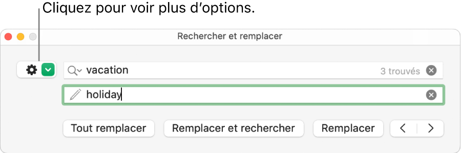 La fenêtre Rechercher et remplacer accompagnée d’une légende pour le bouton permettant d’afficher plus d’options.