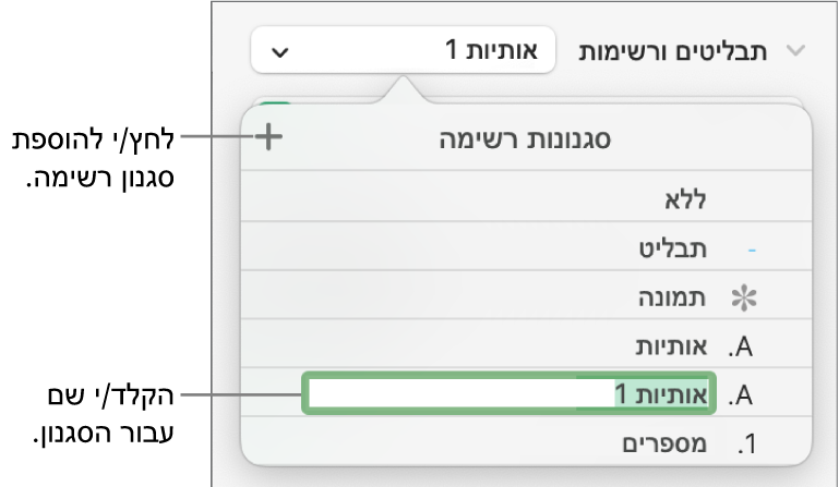התפריט הקופצני ״סגנונות רשימה״ עם כפתור ״הוסף״ בפינה הימנית העליונה ושם של סגנון מציין מיקום כאשר המלל שלו נבחר.