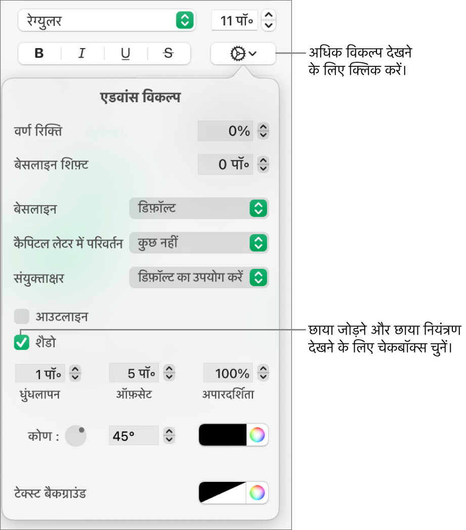 शैडो चेकबॉक्स चुना हुआ तथा ब्लर, ऑफ़सेट, अपारदर्शिता, कोण और रंग सेटिंग के कंट्रोल वाला अधिक टेक्स्ट विकल्प मेनू।