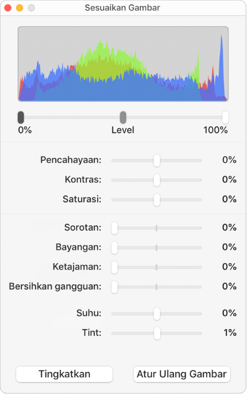 Jendela Sesuaikan Gambar dengan penggeser untuk mengatur pencahayaan, kontras, saturasi, sorotan, bayangan, pertajam, bersihkan gangguan, suhu, dan tint.