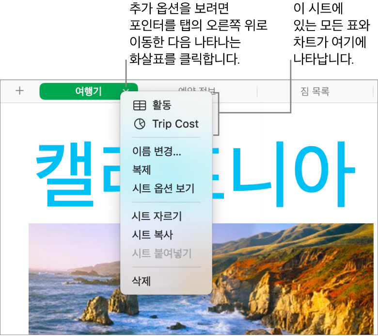 단축 메뉴가 열려 있고 복제를 포함하는 옵션을 표시하는 스프레드시트 탭.