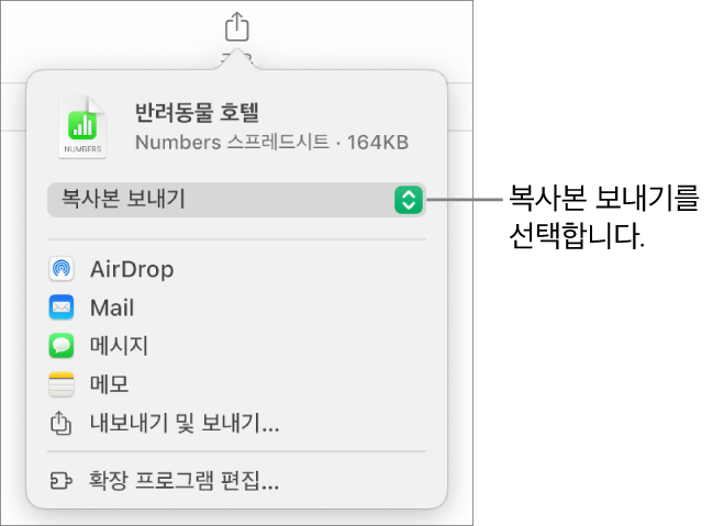 상단에 복사본 보내기가 선택되어 있는 공유 메뉴.