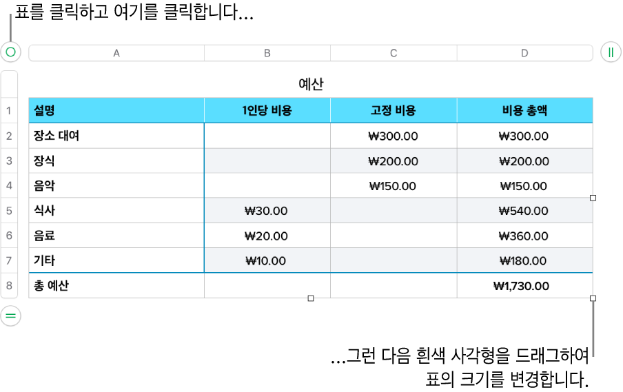 크기 조절용 흰색 사각형이 있고 선택되어 있는 표.