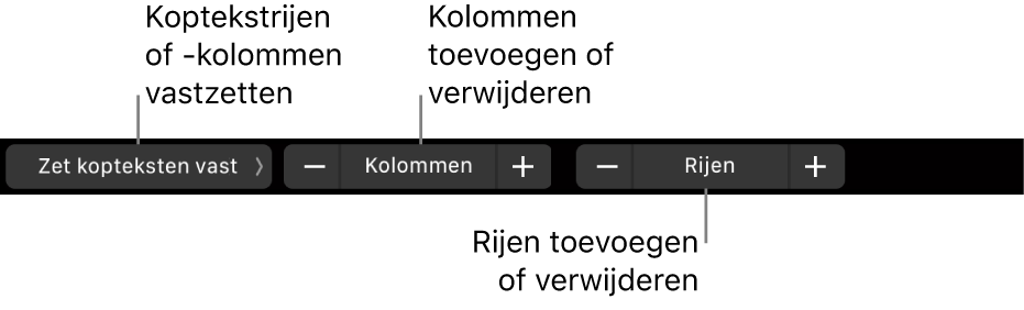 De Touch Bar op een MacBook Pro met regelaars voor het vastzetten van koptekstrijen of -kolommen, het toevoegen of verwijderen van kolommen en het toevoegen of verwijderen van rijen.