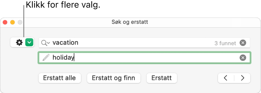 Søk og erstatt-vinduet, med en forklaring for knappen for å vise flere valg.