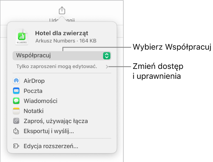 Menu udostępniania z opcją Współpracuj wybraną u góry oraz ustawieniami dostępu i uprawnień poniżej.