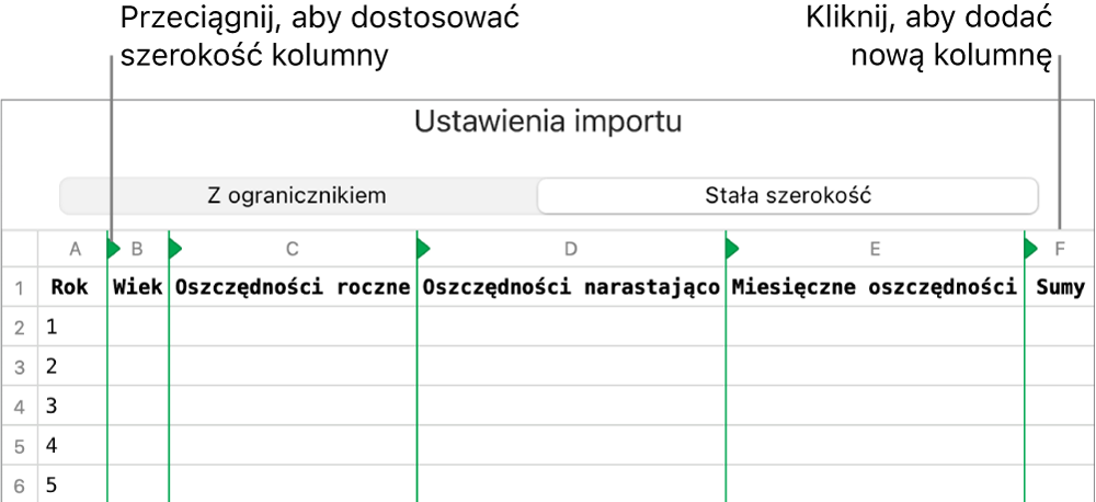 Ustawienia importowania pliku tekstowego o stałej szerokości.