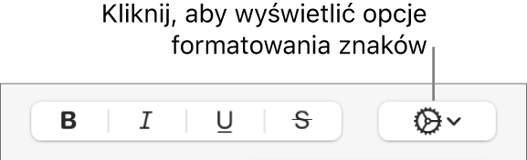 Przycisk Więcej opcji tekstu obok przycisków Pogrubienie, Podkreślenie, Kursywa i Przekreślenie.