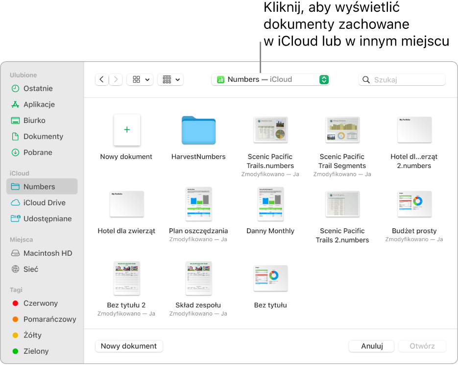Okno dialogowe Otwórz z paskiem bocznym widocznym po lewej. W menu podręcznym znajdującym się na górze wybrana jest opcja iCloud Drive. W oknie dialogowym widoczne są foldery Keynote, Numbers i Pages, a także przycisk Nowy dokument.