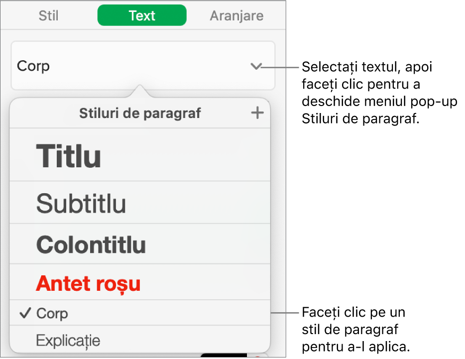 Meniul Stiluri de paragraf.
