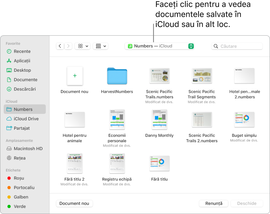 Dialogul Deschide cu bara laterală deschisă în stânga și iCloud Drive selectat în meniul pop-up din partea de sus. Dosarele pentru Keynote, Numbers și Pages apar în dialog împreună cu un buton Document nou.