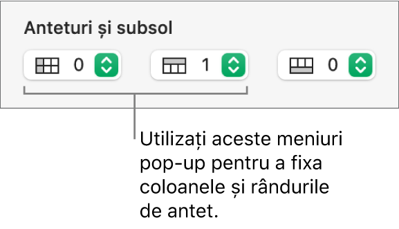 Meniuri pop-up pentru adăugarea într-un tabel a coloanelor și rândurilor de antet și subsol și pentru fixarea rândurilor și coloanelor de antet.