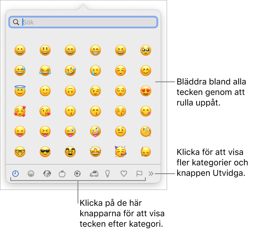 Popuprutan Specialtecken med emoticonsymboler, knappar för olika typer av symboler längst ned och en linje som pekar på knappen för att visa hela teckenfönstret.