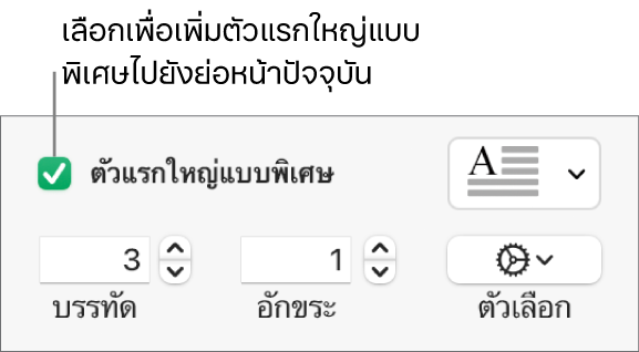 กล่องกาเครื่องหมายตัวแรกใหญ่แบบพิเศษถูกเลือกอยู่ และเมนูที่แสดงขึ้นแสดงทางด้านขวา โดยตัวควบคุมสำหรับการตั้งค่าความสูงของบรรทัด จำนวนอักขระ และตัวเลือกอื่นๆ แสดงอยู่ด้านล่าง