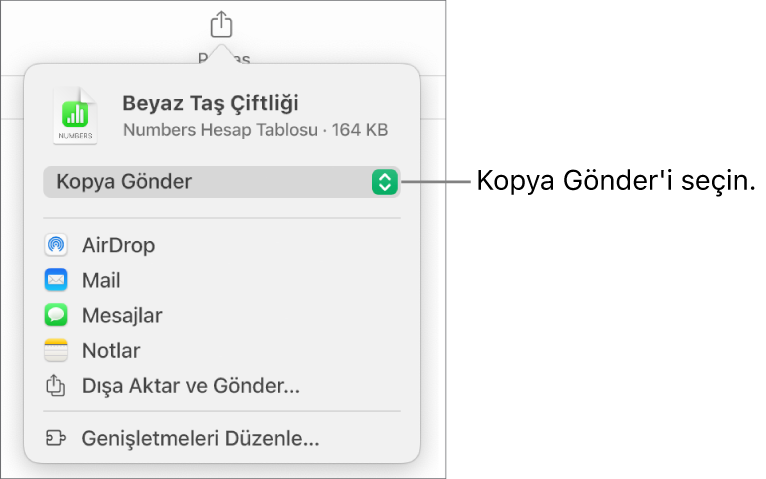 Paylaş menüsü, en üstte Kopya Gönder seçili.