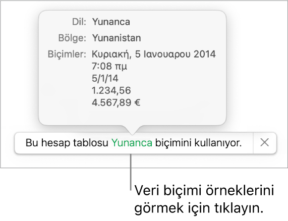 O dil ve bölgede kullanılan biçimlendirme örneklerini gösteren, farklı dil ve bölge ayarı bildirimi.