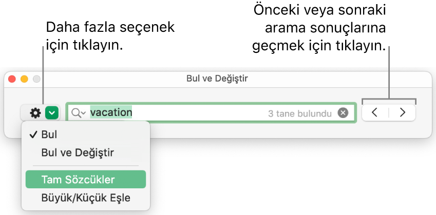 Bul ve Değiştir penceresi; Bul, Bul ve Değiştir, Tam Sözcükler ve Büyük/Küçük Eşle seçeneklerini gösteren açılır menüyü içerir. Sağ taraftaki oklar, önceki veya sonraki arama sonuçlarına gitmenizi sağlar.