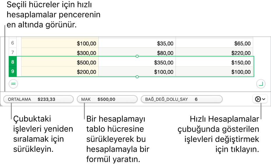 İşlevlerin sırasını değiştirmek için sürükleyin, bir hesaplamayı bir hücreye eklemek için sürükleyin veya hangi işlevlerin gösterildiğini değiştirmek için işlevleri değiştir menüsünü tıklayın.