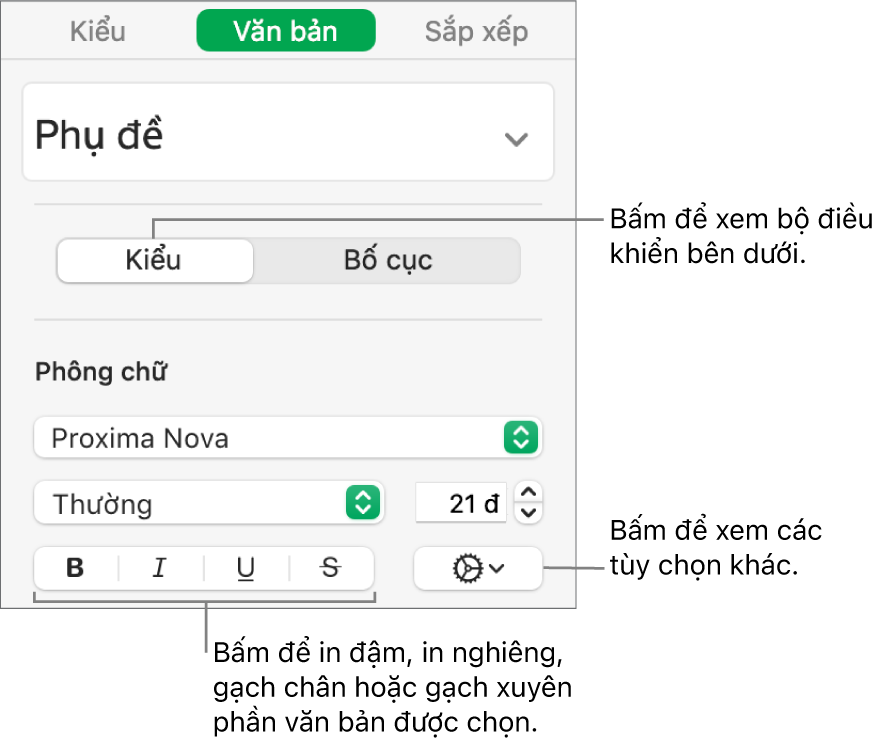 Các điều khiển Kiểu trong thanh bên với các chú thích đến các nút Đậm, Nghiêng, Gạch chân và Gạch xuyên.