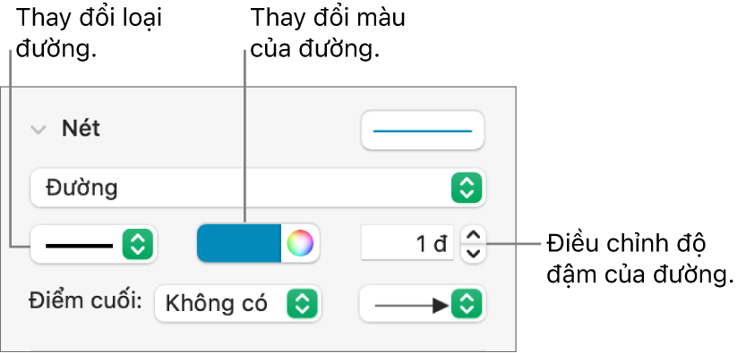 Các điều khiển nét để đặt điểm cuối, độ đậm của đường và màu.