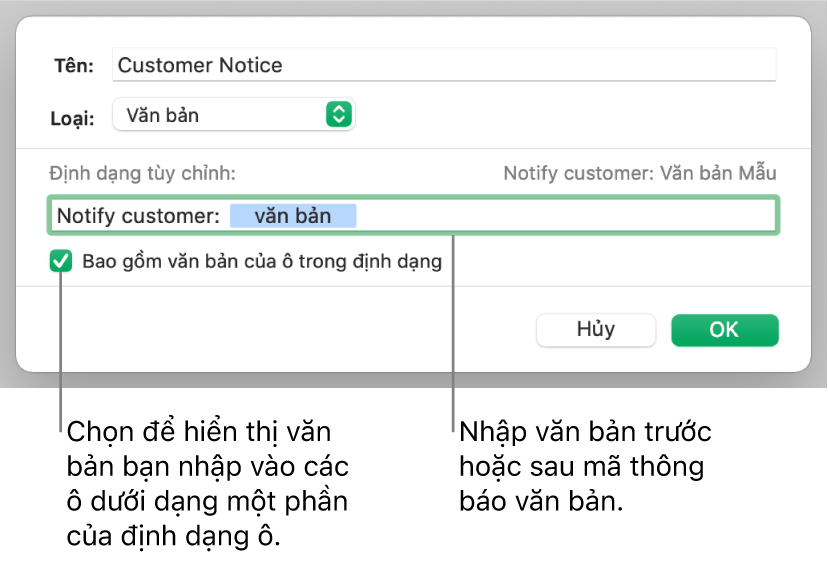 Định dạng ô văn bản tùy chỉnh.