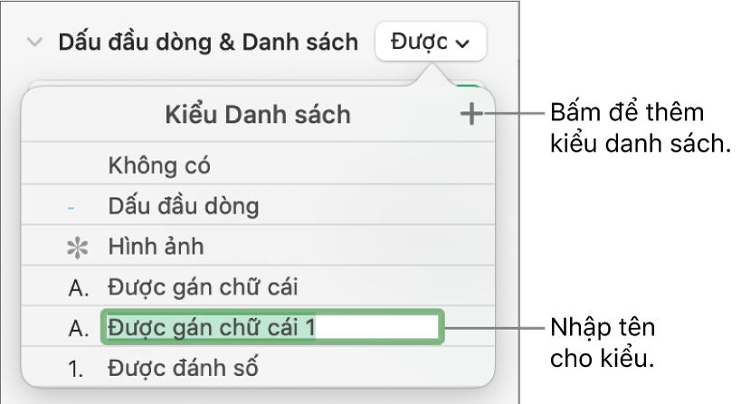 Menu bật lên Kiểu danh sách có nút Thêm ở góc trên cùng bên phải và tên kiểu giữ chỗ với văn bản được chọn.
