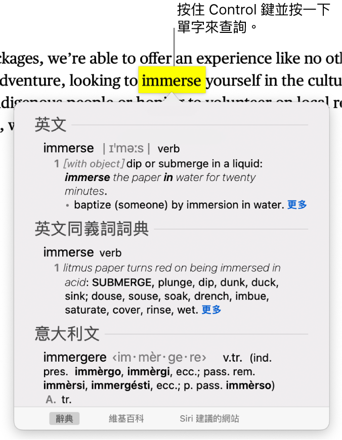 含有重點標示單字的文字和視窗會顯示其定義和同義詞詞條。視窗底部的三個按鈕提供了前往字典、維基百科和 Siri 建議的網站之連結。