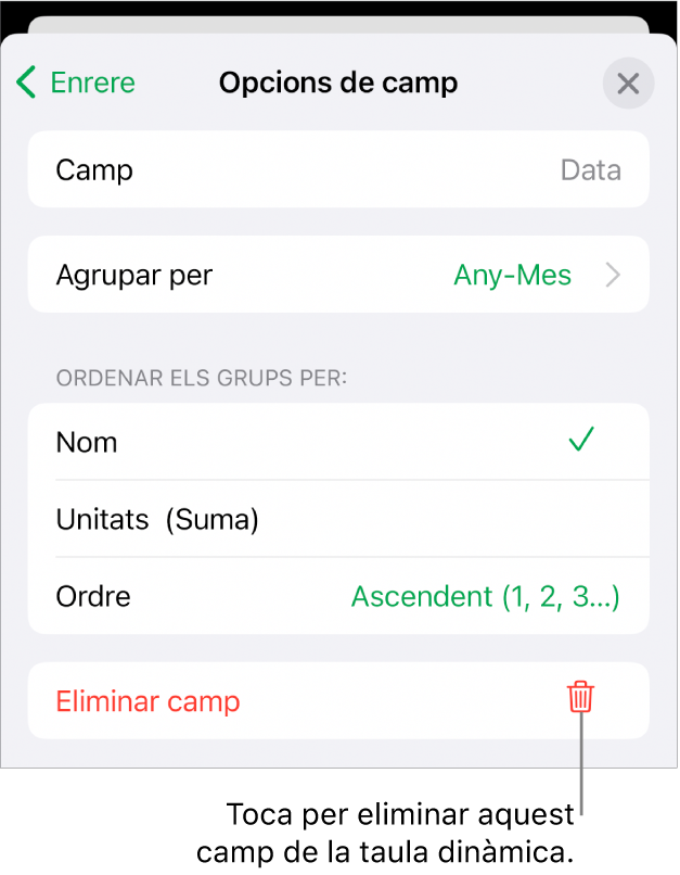 El menú “Opcions de camp”, que mostra els controls per agrupar i ordenar dades, a més de l’opció per eliminar un camp.
