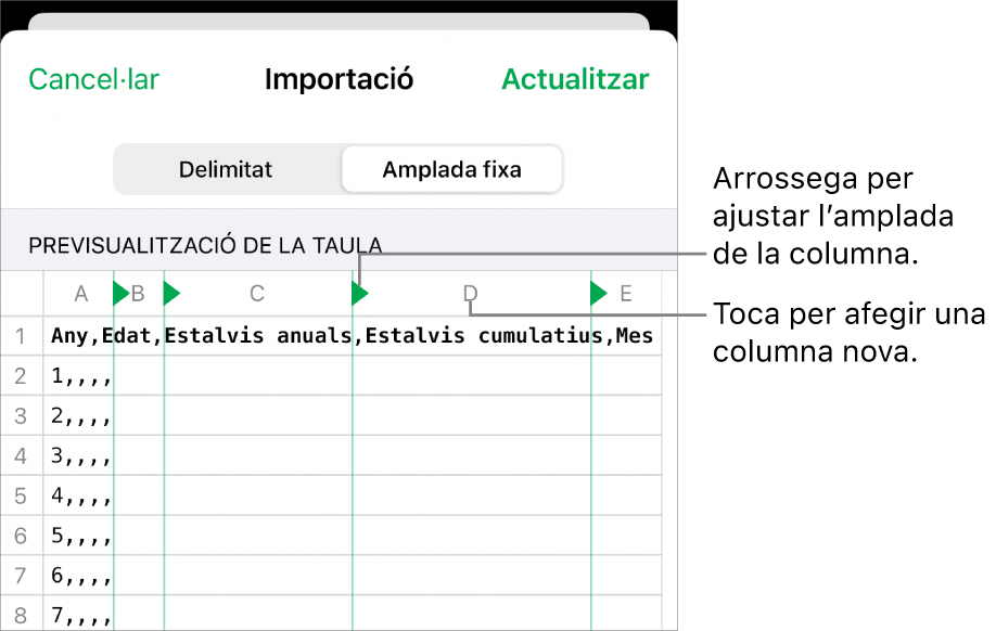 Els paràmetres d’importació d’un arxiu de text d’amplada fixa.