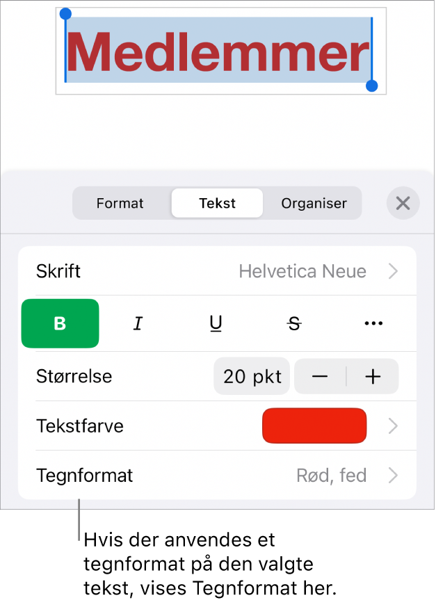 Betjeningsmulighederne til formatering af tekst med Tegnformat under betjeningsmulighederne til farve. Tegnformatet Intet vises med en stjerne.