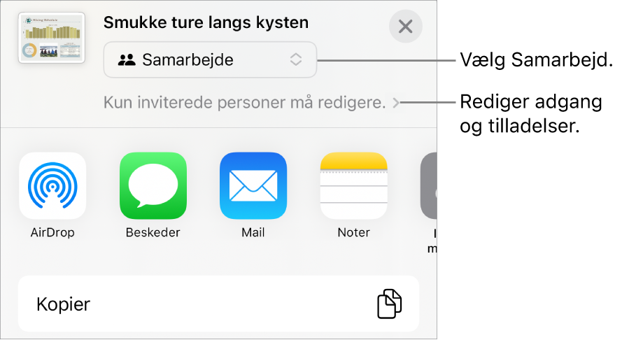 Menuen Del med Samarbejde valgt øverst og adgangs- samt tilladelsesindstillinger nedenunder.