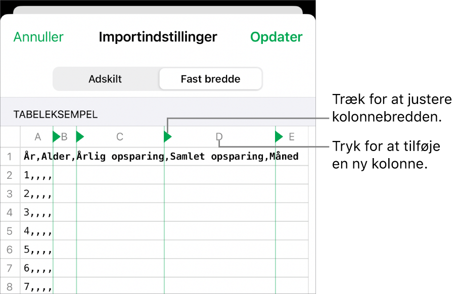 Importindstillingerne til et tekstarkiv med fast bredde.