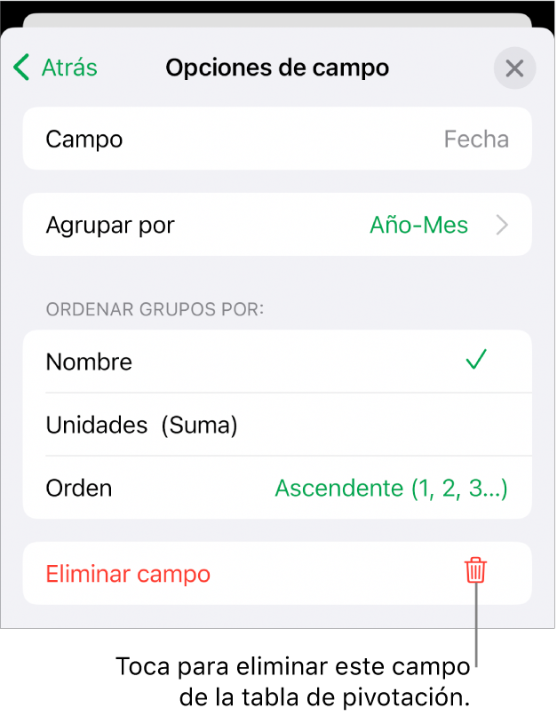 El menú Opciones de campo, que muestra los controles para agrupar y ordenar datos, así como la opción para eliminar un campo.