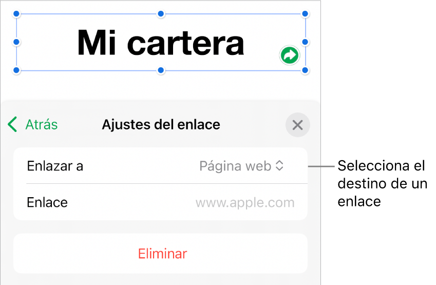 Controles de “Ajustes de enlace” con la opción “Página web” seleccionada y el botón Eliminar en la parte inferior.