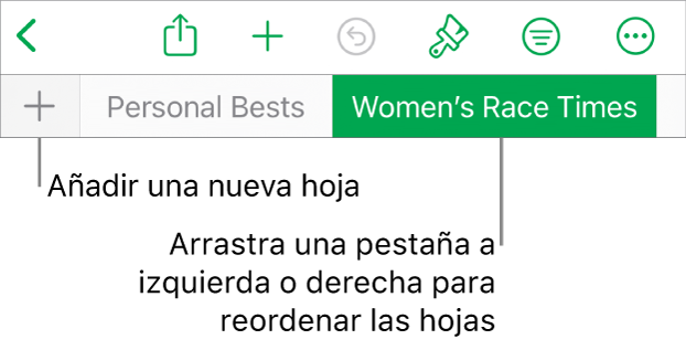 La barra de pestañas para añadir una nueva hoja, navegar, reordenar y reorganizar las hojas.