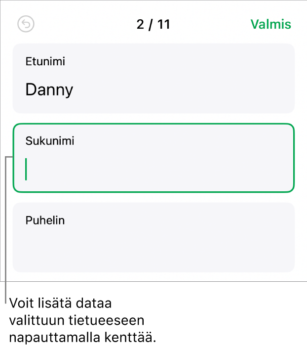 Lomakkeen tietue, jossa näkyy aktiivinen kenttä ja lisäyskohta.