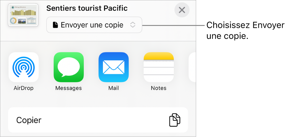 Le menu Partager avec l’option Envoyer une copie sélectionnée dans le haut.