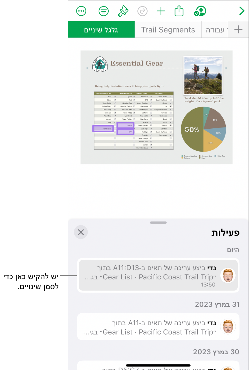 גיליון עבודה שיתופי כאשר רשימת הפעולות ותפריט ״שיתוף פעולה״ פתוחים.