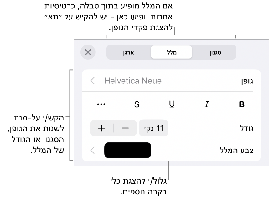 כלי בקרה של מלל בתפריט ״עיצוב״ להגדרת סגנונות, גופן, גודל וצבע עבור פיסקאות ותווים.