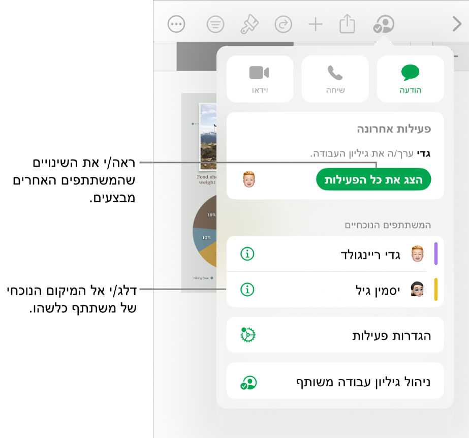 תפריט ״שיתוף פעולה״ שרואים בו משתתפים פעילים כעת.