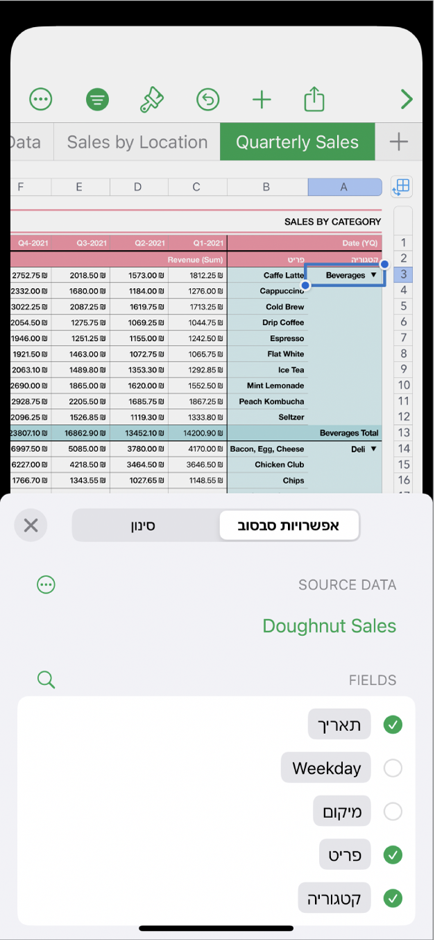 גיליון עבודה שבו פקדי ״אפשרויות סבסוב״ ו״סינון״ מוצגים בתחתית המסך.