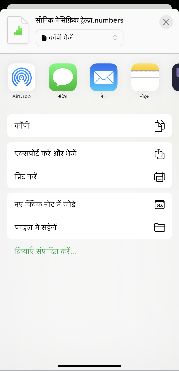 शेयर मेनू को दिखाती Numbers विंडो, जिसमें स्प्रेडशीट की कॉपी भेजने, उसे अलग फ़ॉर्मैट में एक्सपोर्ट करने और भेजने, या उसे Files ऐप में प्रिंट करने और सहेजने के लिए विकल्प हैं।