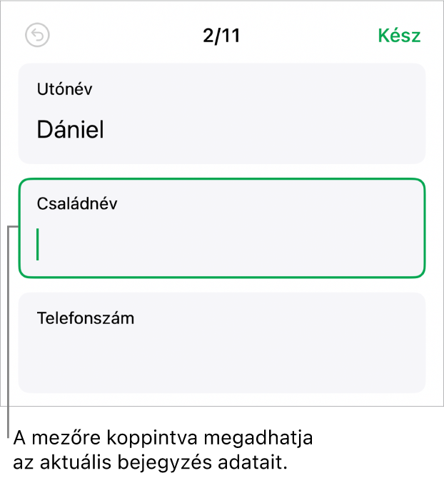Egy űrlap bejegyzése az aktív mezővel és a beszúrási ponttal.