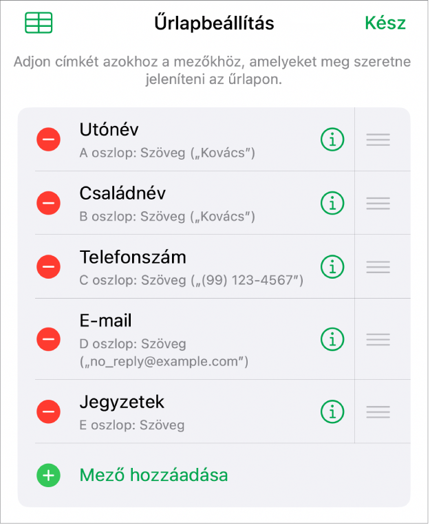 Az űrlap-beállításvezérlők, a mezők hozzáadására, szerkesztésére, átrendezésére és törlésére, valamint azok formátumának (pl. Szöveg vagy Százalék) módosítására szolgáló opciókkal.