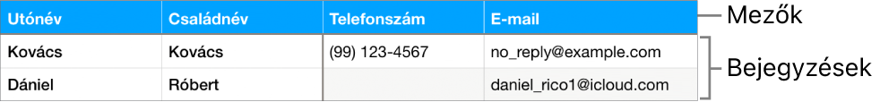 Űrlapok használatára beállított táblázat egy mezőcímkéket tartalmazó fejlécsorral és egy bejegyzések listájával, amiben a sportcsapat tagjainak az adatai láthatók.