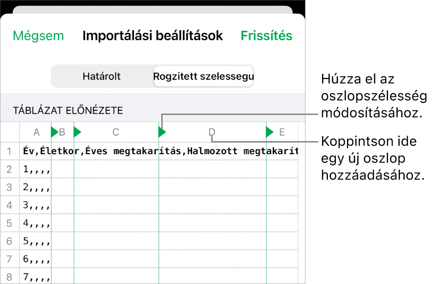 A rögzített szélességű szövegfájlok importálási beállításai.