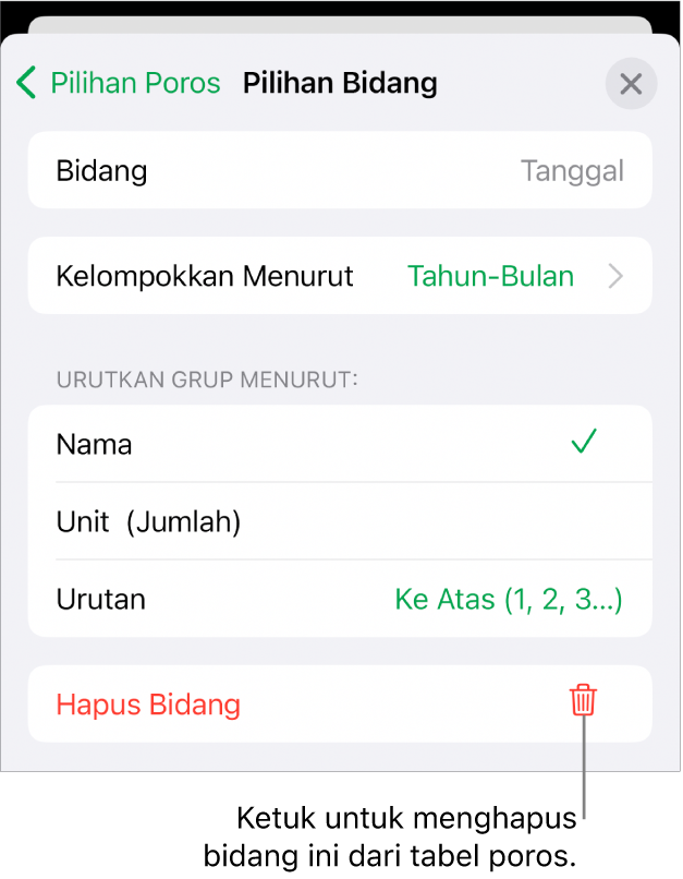 Menu Pilihan Bidang, menampilkan kontrol untuk mengelompokkan dan mengurutkan data, serta pilihan untuk menghapus bidang.