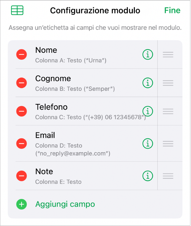 I controlli di configurazione del modulo con le opzioni per aggiungere, modificare, ordinare ed eliminare campi, così come per modificarne il formato (ad esempio, da Testo a Percentuale).